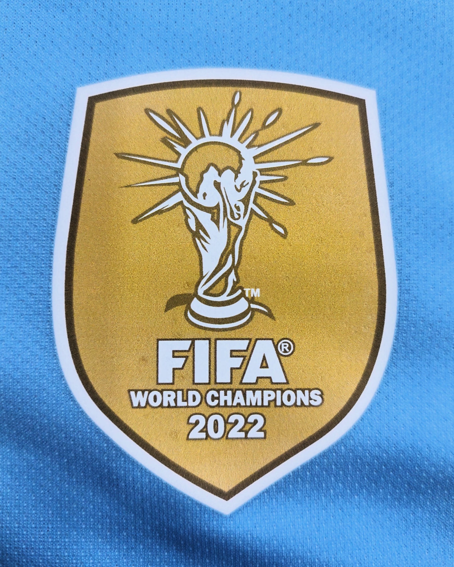 Camiseta Argentina 2024